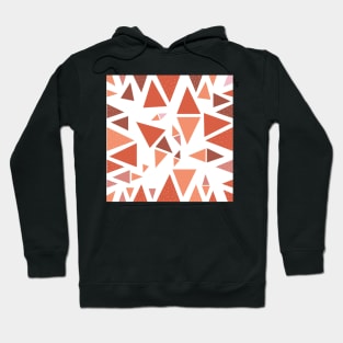 Triangle Hoodie